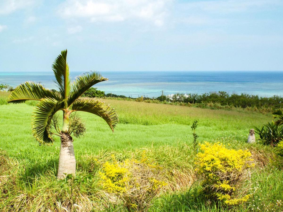 Hotel Asobibase Yamabare-House Ishigaki  Exterior foto